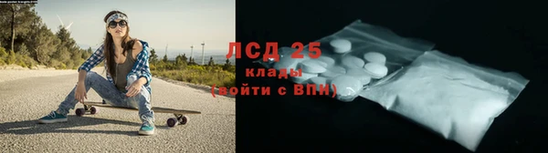 PSILOCYBIN Абаза