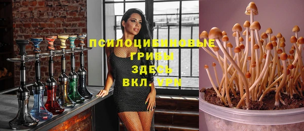 PSILOCYBIN Абаза