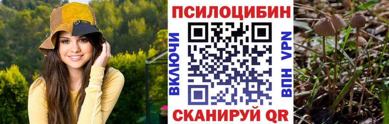 сайты даркнета какой сайт Цимлянск Псилоцибиновые грибы мухоморы