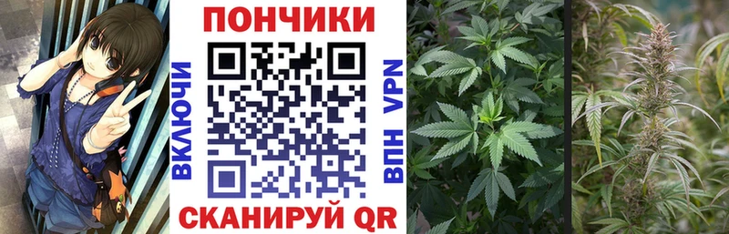 закладки  Цимлянск  Каннабис планчик 